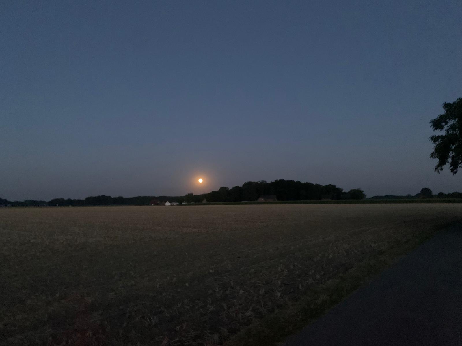 Eindruck vom Schmeddershof